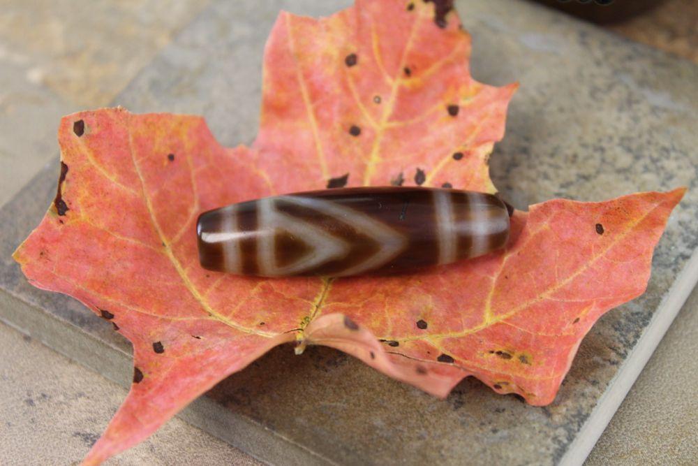 Dzi 1 Mắt — Ánh Sáng Trí Tuệ